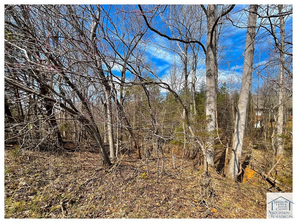 Real Estate Martinsville, VA Rives S. Brown Helping you find a home