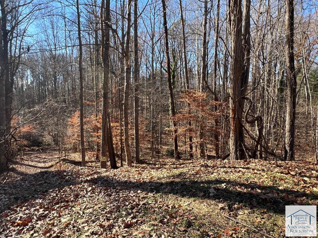 Real Estate Martinsville, VA Rives S. Brown Helping you find a home