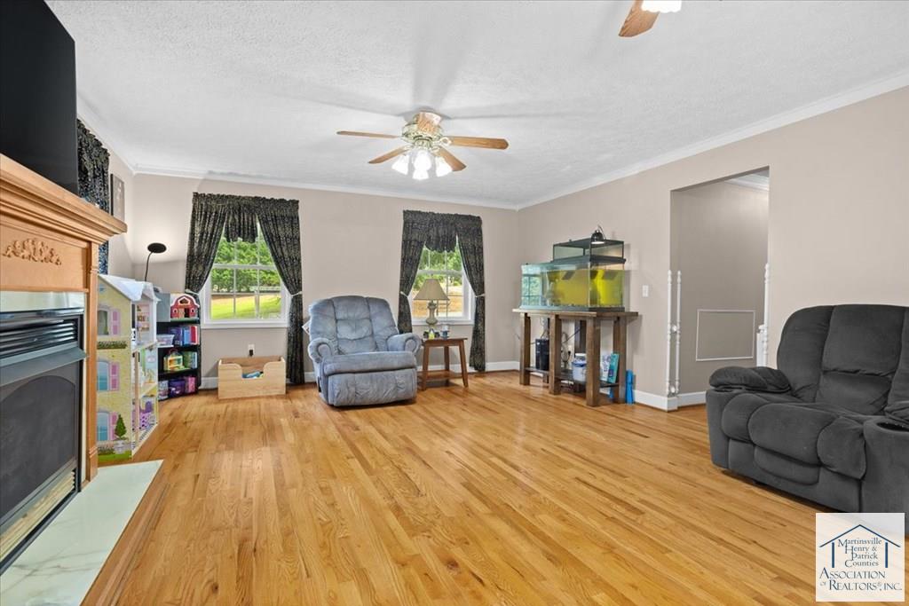 Additional Photo